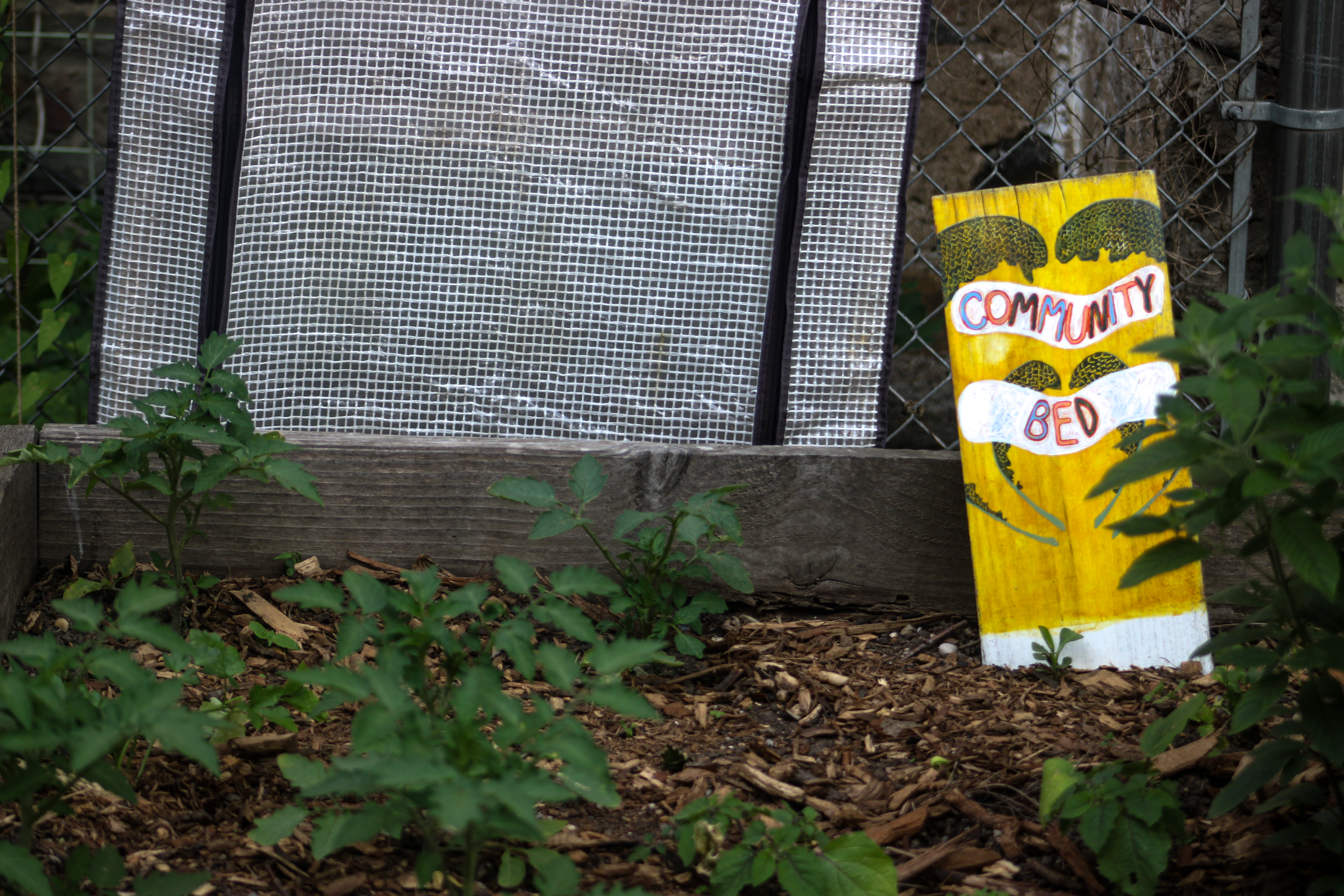 Dispatches From The Garden Wars 