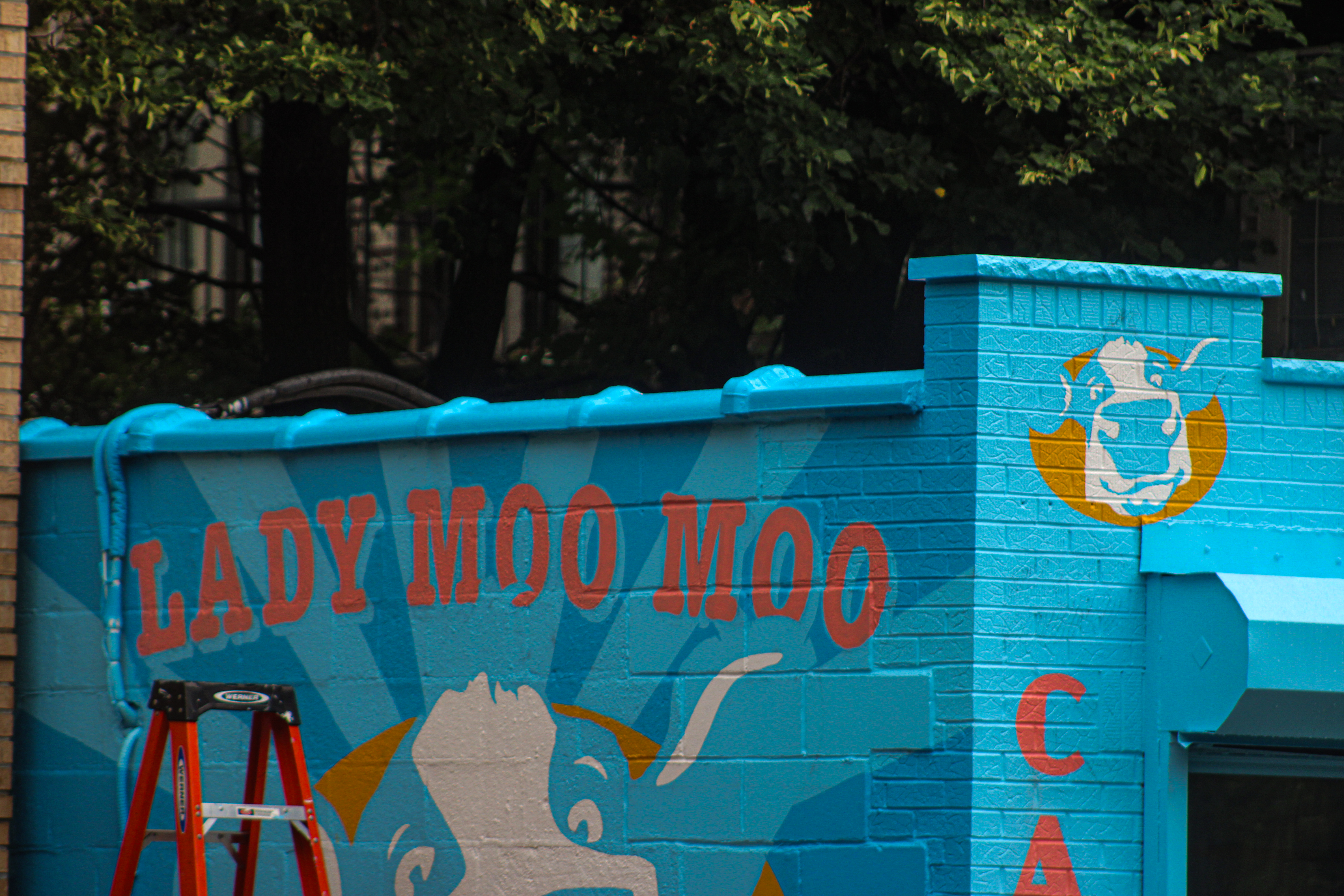 More Moo Moo, For You