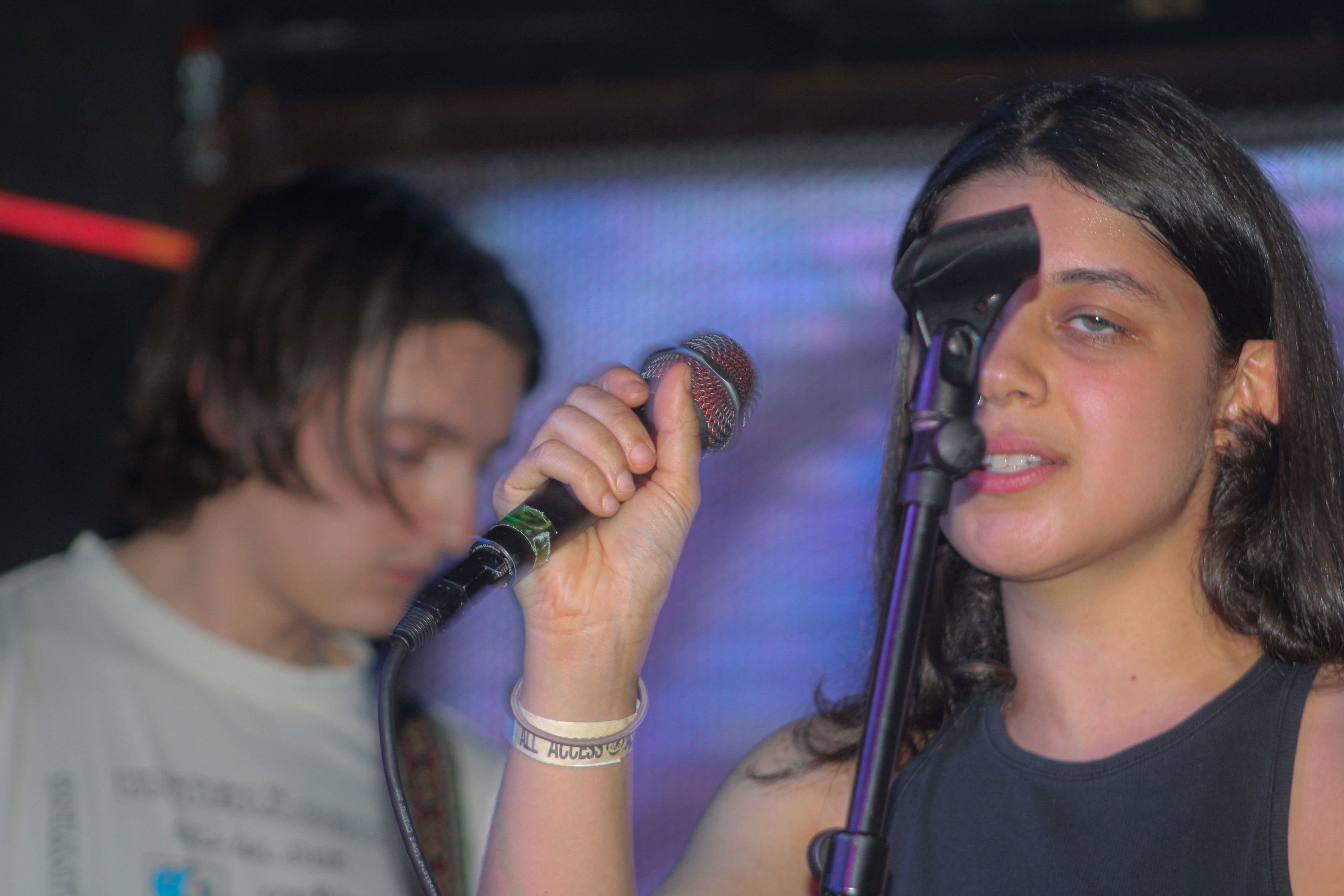 Stereolab Impressionists