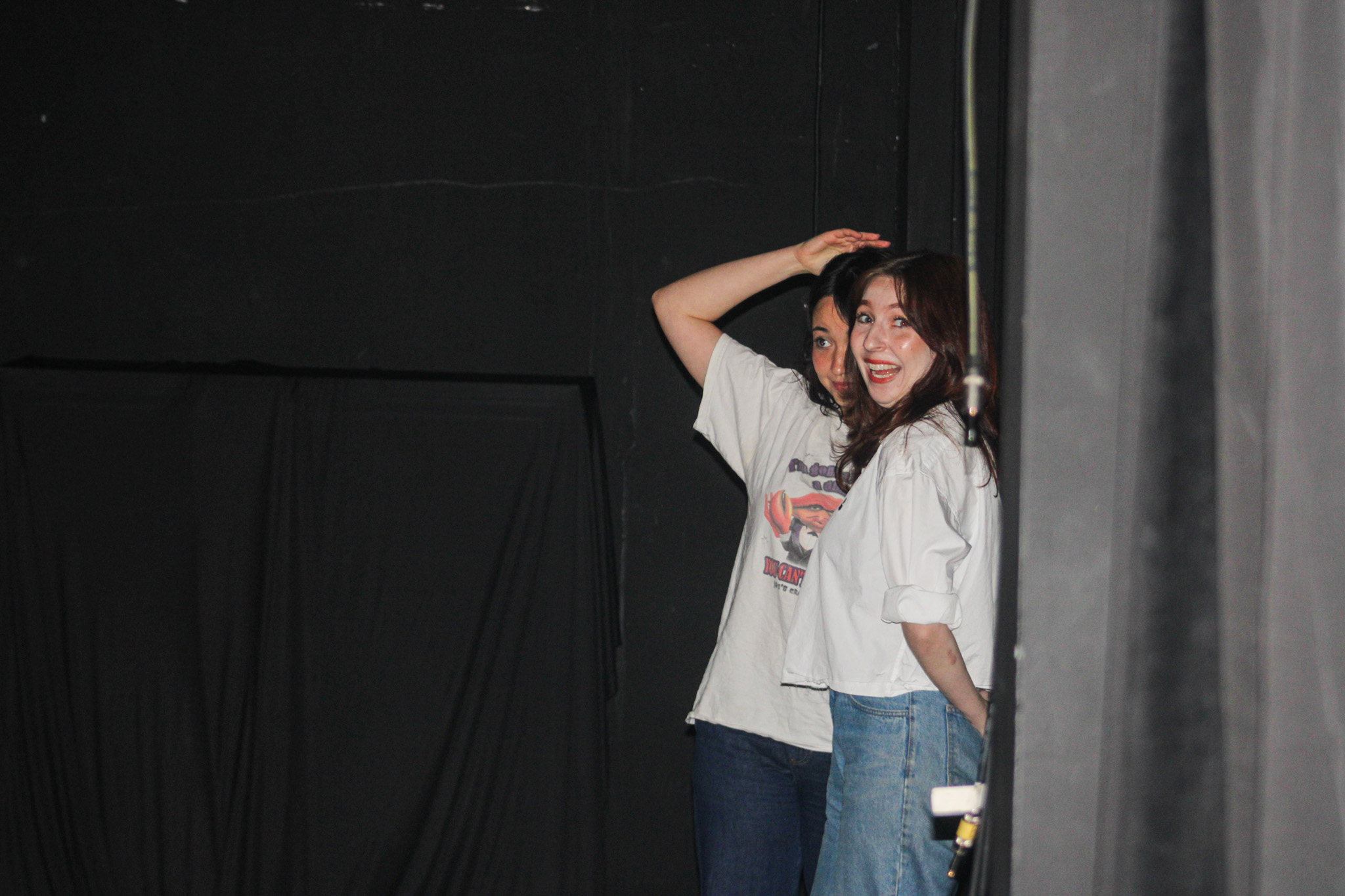 Salaries for Socialism